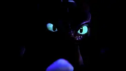 Nightlights!