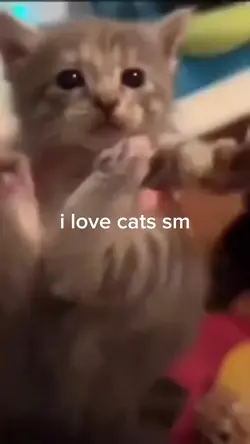 :3
