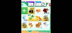 Inv Tour!