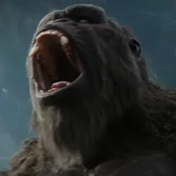 KING KNOG TEMPLATE💯🔥