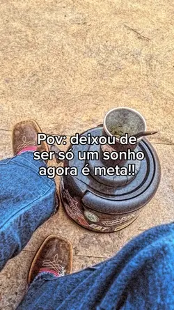 meta de vida