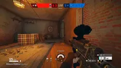 Flick