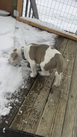 Cold Weather 