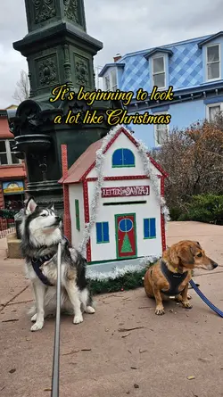 Christmas season