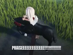 PRAISE THE LORD!