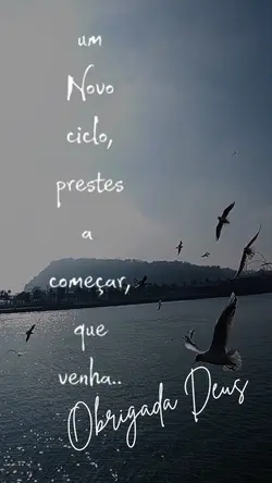 Novo ciclo 