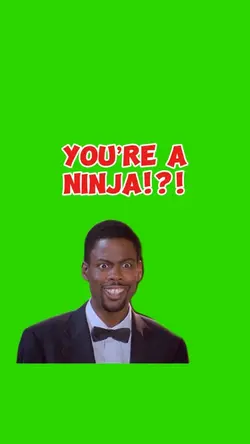You’re a Ninja!?!