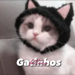 Cats~