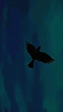 Free anime edit