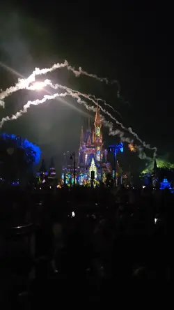 Disney fireworks!