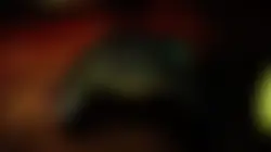 Xbox edit 
