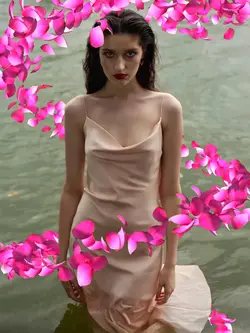 3DPetals surround