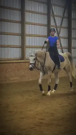 Love these horses🥰 