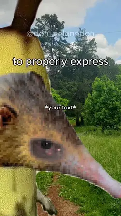 English language mem