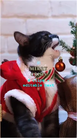 Happy Crimus 🎄⭐️❄️