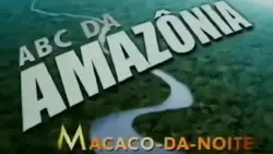 Macaco da Noite