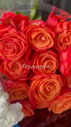Roses