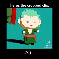 cropped clip