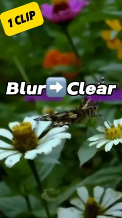 Blur 2 Clear