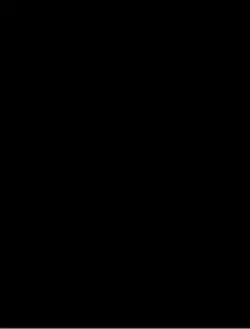NATO members