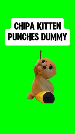 KITTEN PUNCHIN