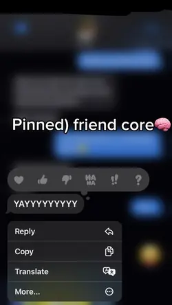 Pinned)Friend core 