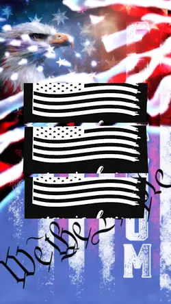 America LOGO 🇺🇸
