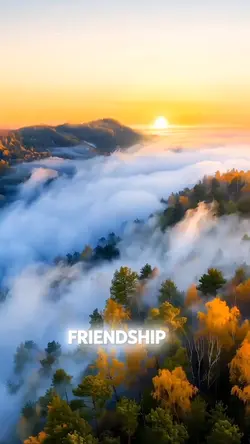 Friendship 