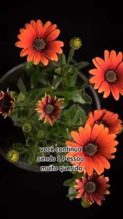 PARA UM AMIGO
