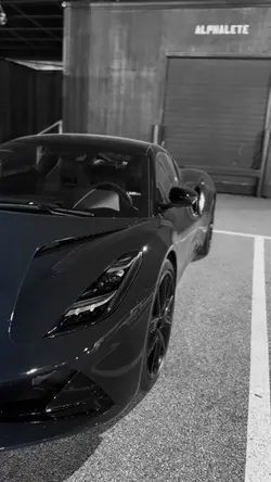 Lotus emira