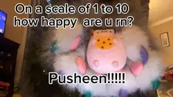 Ppuuussshhheeeeeeenn