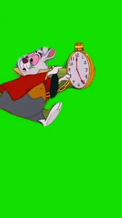 White rabbit
