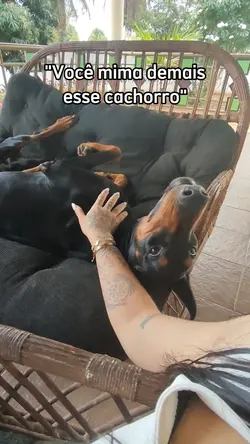 mimado