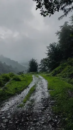 باران☁️ ☔️