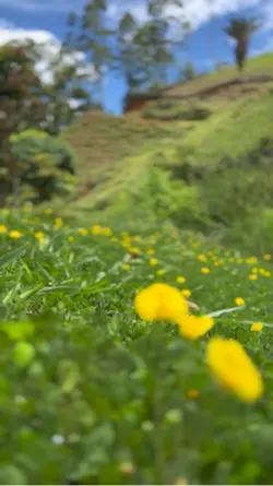 NATUREZA