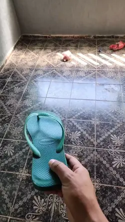 Efeito reverso 