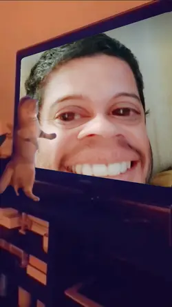 Gato engraçado 