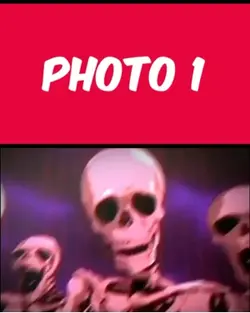 Skelton meme