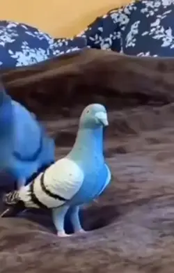 Tweet tweet tweet