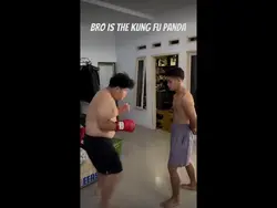 King fu panda