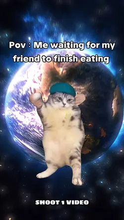 Dancing Cat