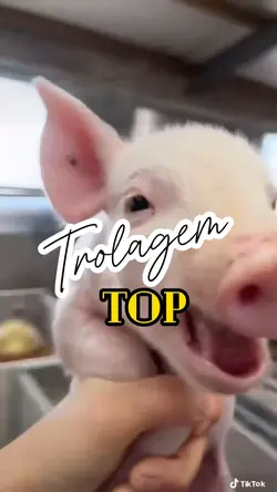 TROLAGEM BOA TOP