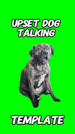 Upset dog talking