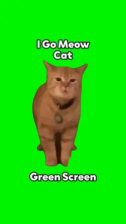 I Go Meow Cat