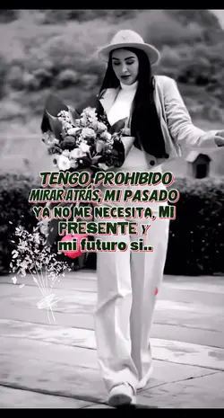 Frases y Reflexiones