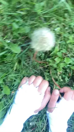 I'm running w/mypaws