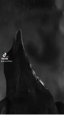 Next devil 