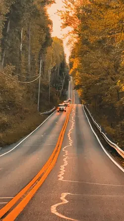 Fall 