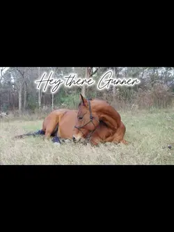 Rip Gunner 💔