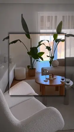 House viral